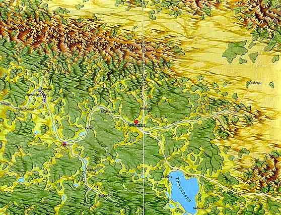 Andergast und der Steineichenwald